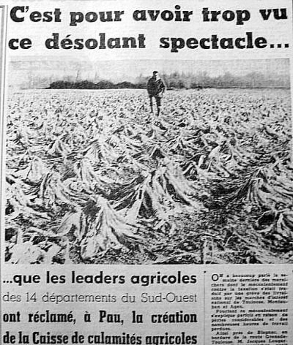 désarroi des agriculteurs fin janvier 63