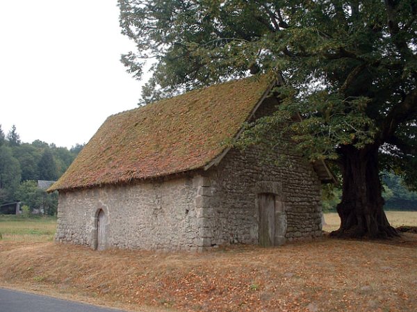 chute des feuilles Creuse aout 2003
