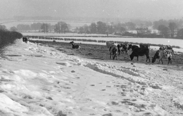 Homington hiver 1963