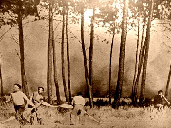 lutte contre les incendies dans les Landes en aout 1949