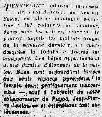 article sur les brebis foudroyees fin juillet 76