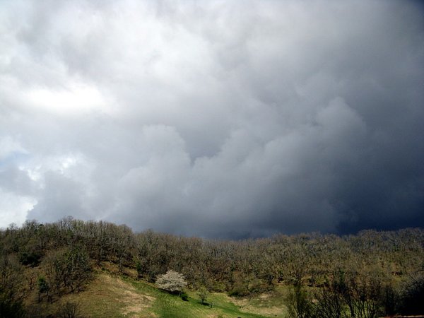 une averse en approche le 22 mars 2008
