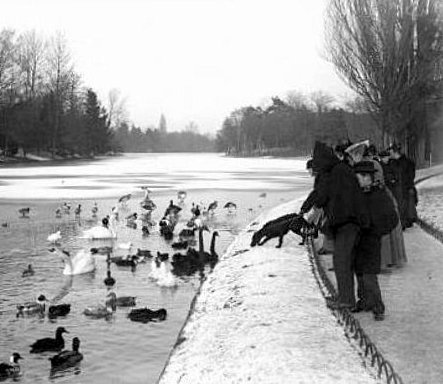 nourissage des oiseaux au bois de Boulogne en fevrier 1895
