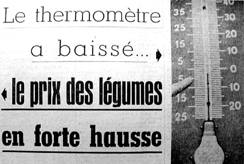entete d`article sur la hausse du prix des legumes