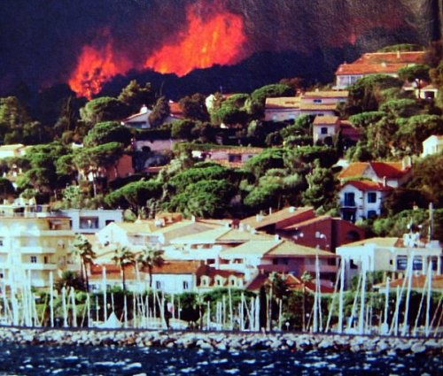 feux dans le Var ete 2003
