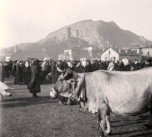 foire aux boeufs a Foix en mars 1903