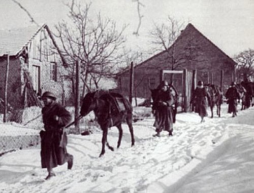 Goumiers en Alsace janvier 1945
