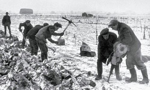 labours en Angleterre en fevrier mars 1947