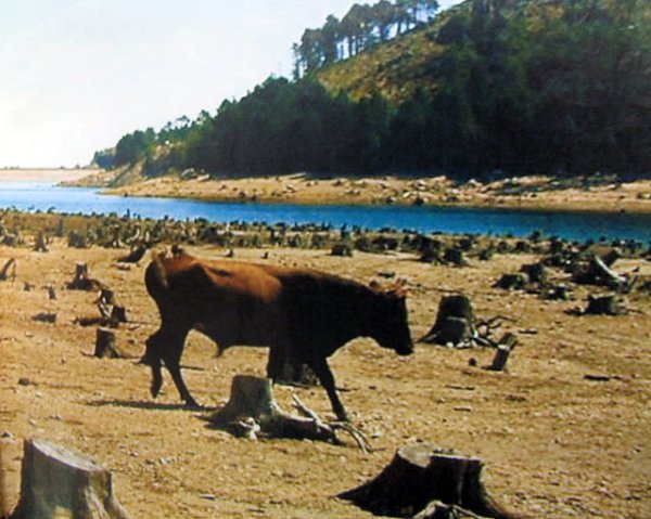lac en Corse aout 2003