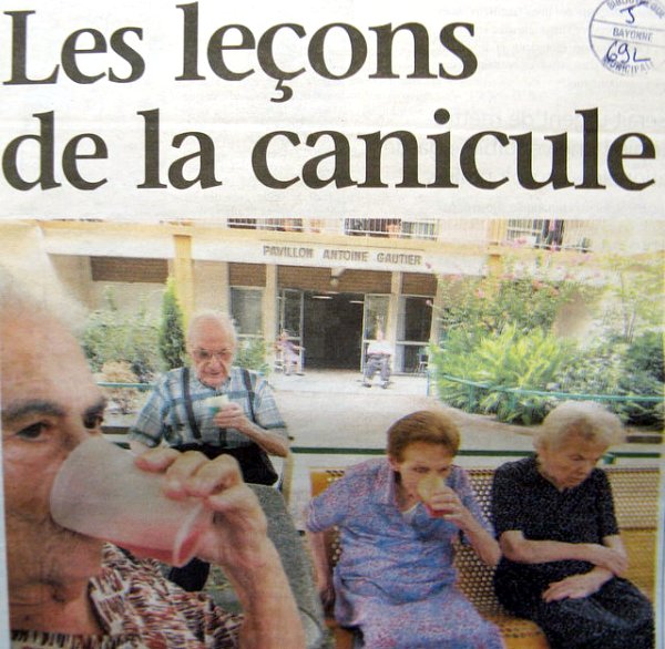 les leçons de la canicule 2003