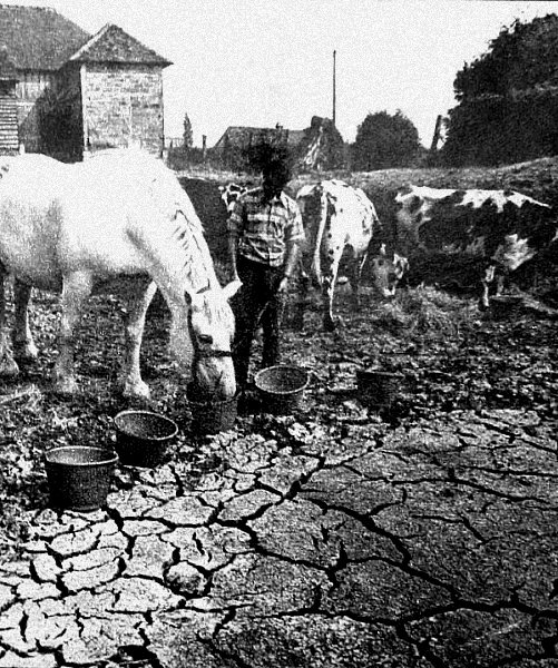 marre assechee durant l`ete 76