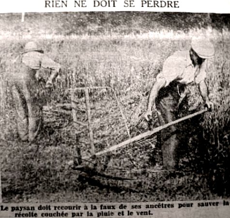 moissons en aout 1941