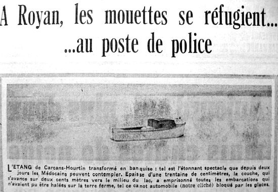 mouettes réfugiées au poste de police hiver 62-63