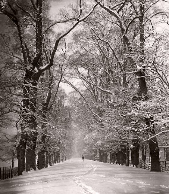 chute de neige durant l`hiver 1870 1871