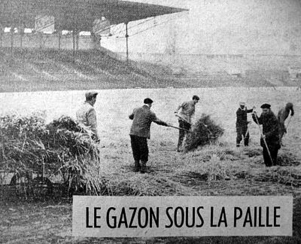 paillage d`une pelouse d`un stade de foot hiver 62-63
