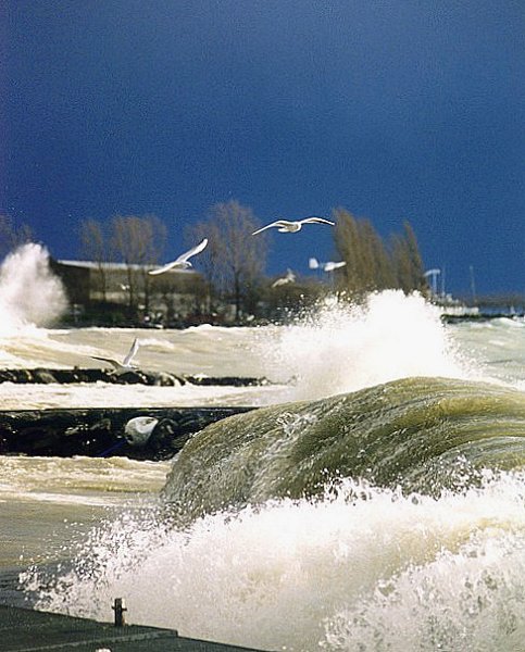 deferlantes sur le leman
