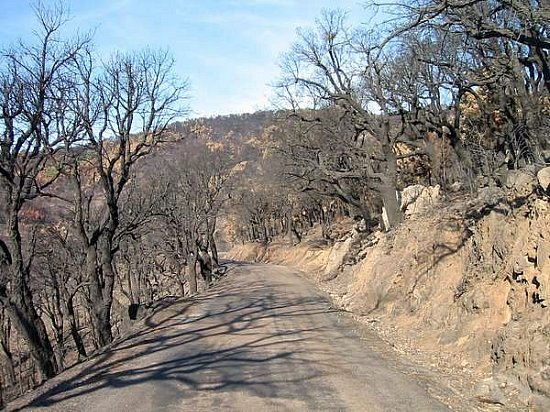 route de la mort aout 2003