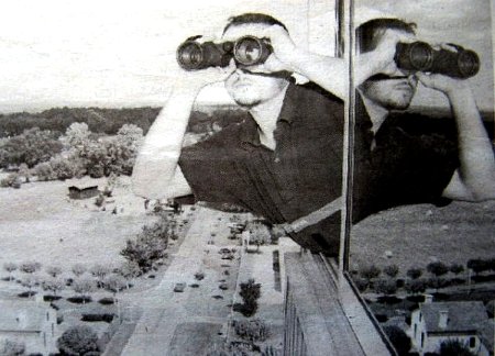 surveillance des forets juillet 2003