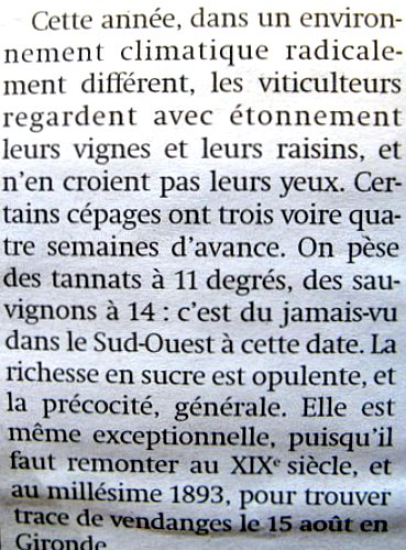 vendanges 2003