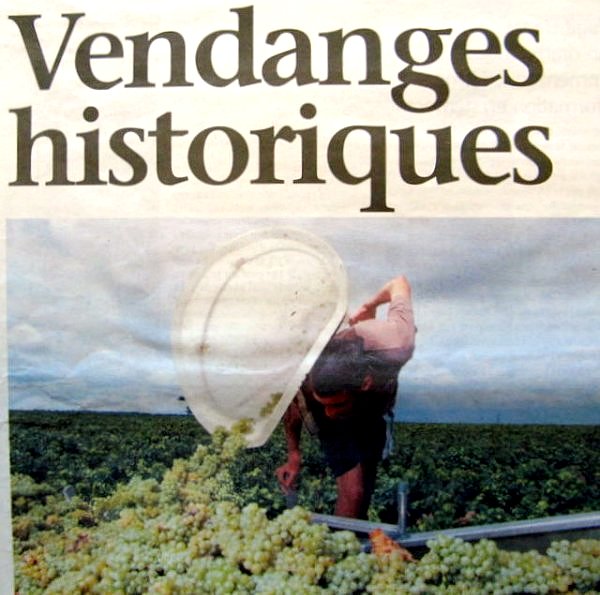 vendanges historiques aout 2003